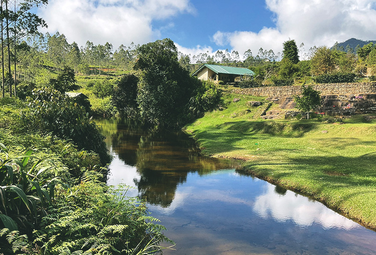 Hill Haven - Exterior 1